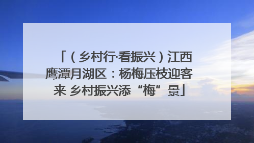 （乡村行·看振兴）江西鹰潭月湖区：杨梅压枝迎客来 乡村振兴添“梅”景