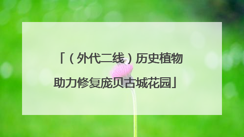 （外代二线）历史植物助力修复庞贝古城花园