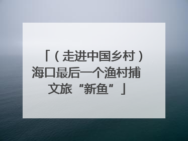 （走进中国乡村）海口最后一个渔村捕文旅“新鱼”