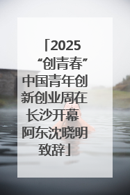 2025“创青春”中国青年创新创业周在长沙开幕 阿东沈晓明致辞
