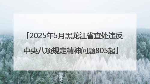 2025年5月黑龙江省查处违反中央八项规定精神问题805起