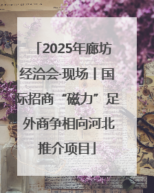 2025年廊坊经洽会·现场丨国际招商“磁力”足 外商争相向河北推介项目