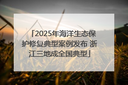 2025年海洋生态保护修复典型案例发布 浙江三地成全国典型