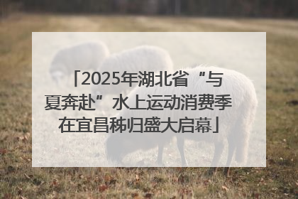 2025年湖北省“与夏奔赴”水上运动消费季在宜昌秭归盛大启幕