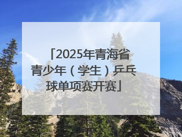 2025年青海省青少年（学生）乒乓球单项赛开赛