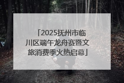 2025抚州市临川区端午龙舟赛暨文旅消费季火热启幕