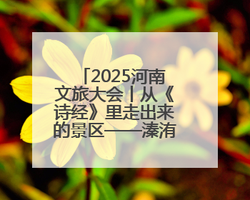 2025河南文旅大会丨从《诗经》里走出来的景区——溱洧水城开街迎宾