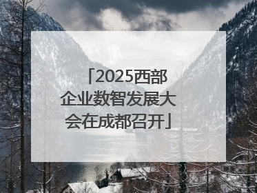 2025西部企业数智发展大会在成都召开
