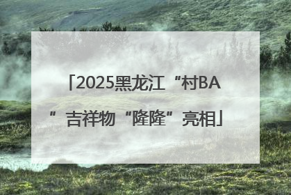 2025黑龙江“村BA”吉祥物“隆隆”亮相