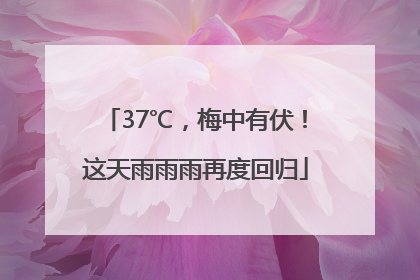 37℃，梅中有伏！这天雨雨雨再度回归