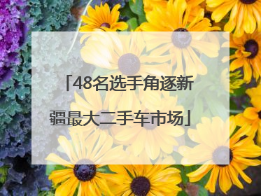 48名选手角逐新疆最大二手车市场