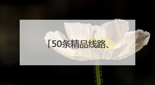 50条精品线路、30个网红打卡地 暑期来河南遛娃吧