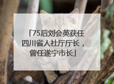75后刘会英获任四川省人社厅厅长，曾任遂宁市长