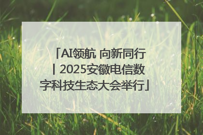 AI领航 向新同行丨2025安徽电信数字科技生态大会举行