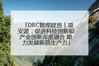 DRC智库建言丨项安波：促进科技创新和产业创新深度融合 助力发展新质生产力