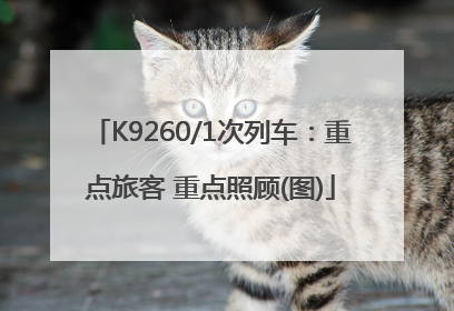 K9260/1次列车：重点旅客 重点照顾(图)