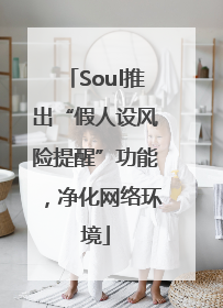 Soul推出“假人设风险提醒”功能，净化网络环境